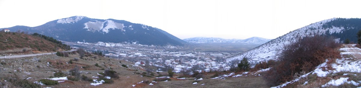 Καλλιπεύκη Όλυμπος